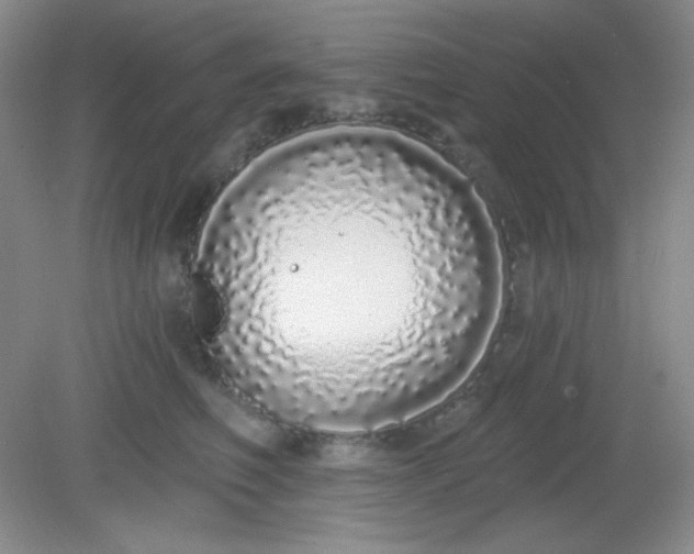 X0000081600614200701291403