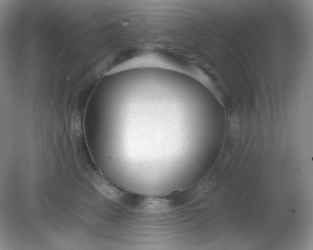 X0000081600617200701291403