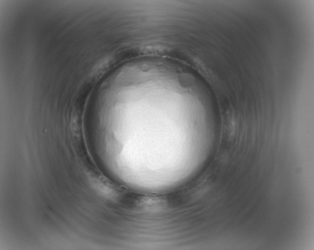 X0000081600619200701291403