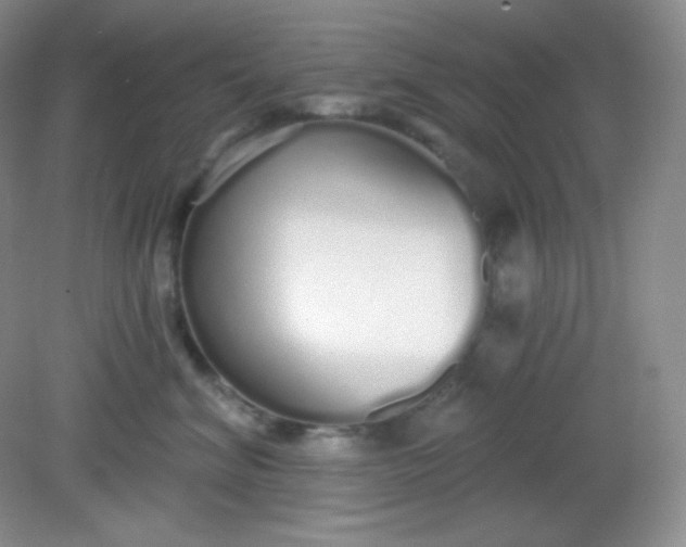 X0000081600620200701291403