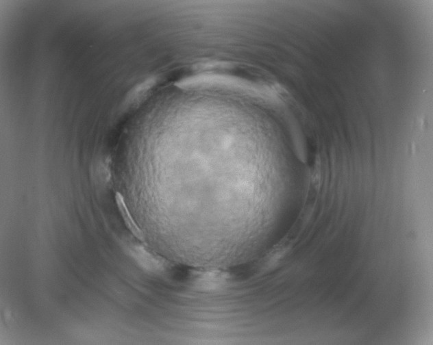 X0000081600621200701291403