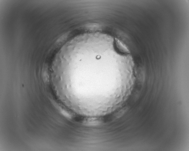 X0000081600622200701291403