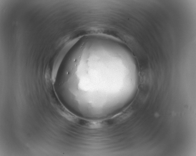 X0000081600623200701291403