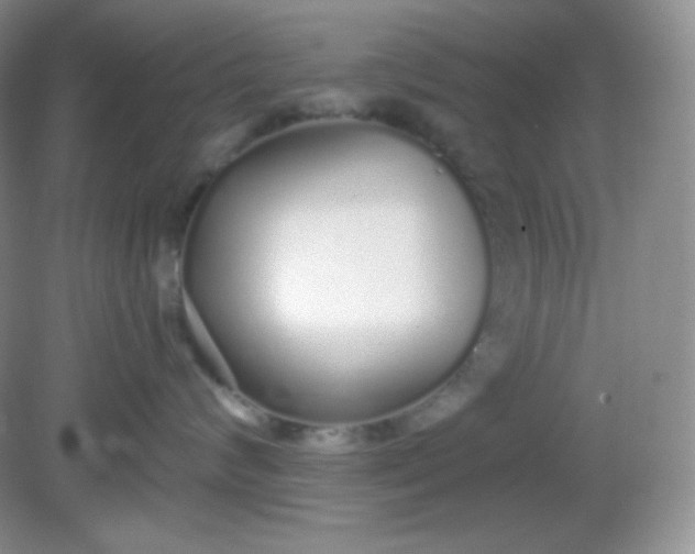 X0000081600624200701291403