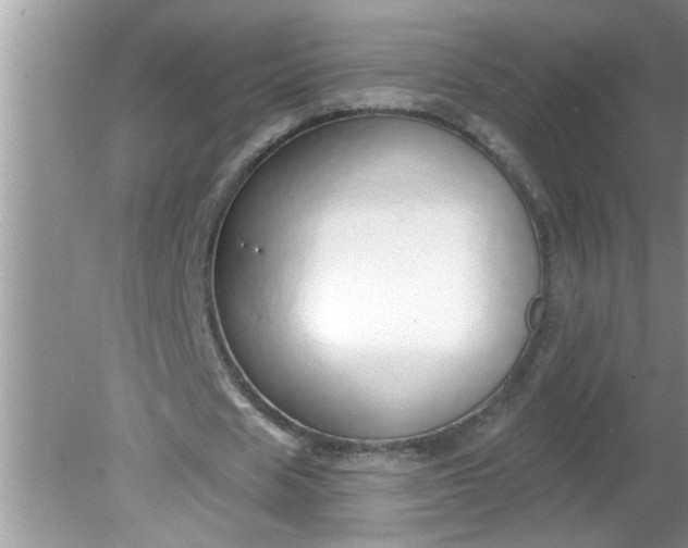 X0000081600625200701291402