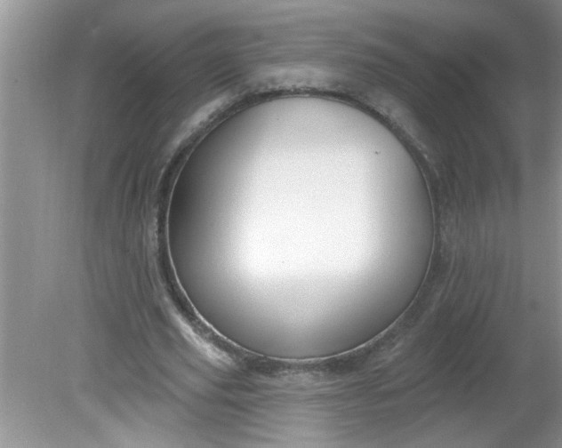 X0000081600629200701291402