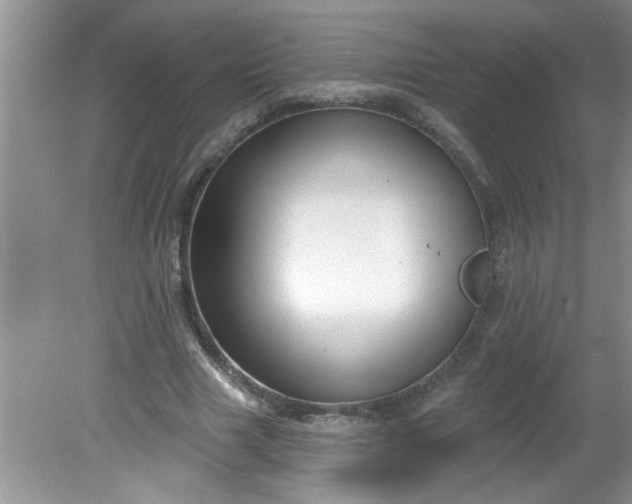 X0000081600633200701291402