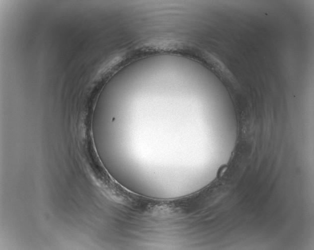 X0000081600635200701291402