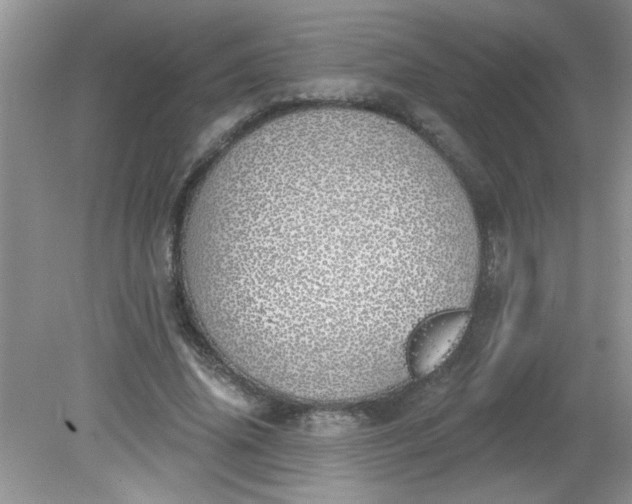 X0000081600636200701291402