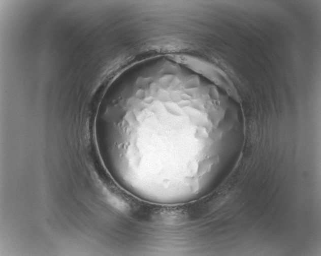 X0000081600638200701291402