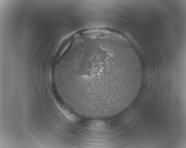 X0000081600640200701291402