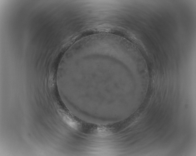 X0000081600641200701291402