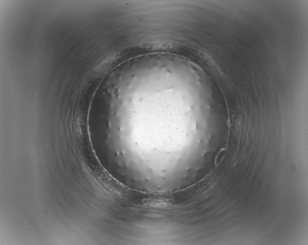 X0000081600643200701291402