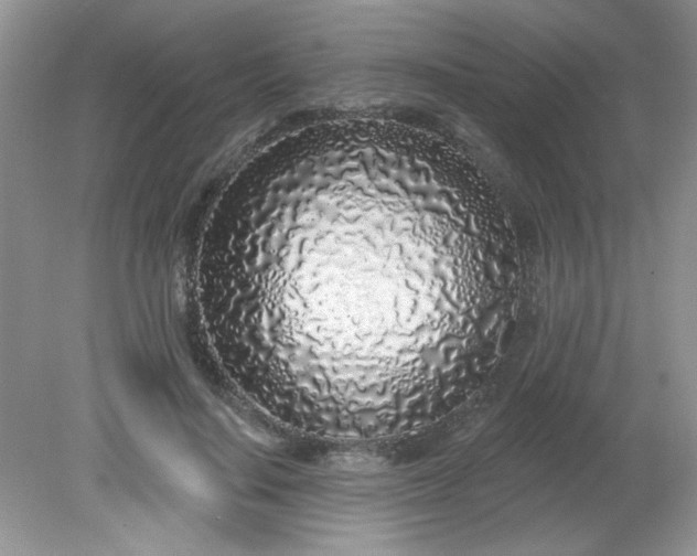 X0000081600644200701291402