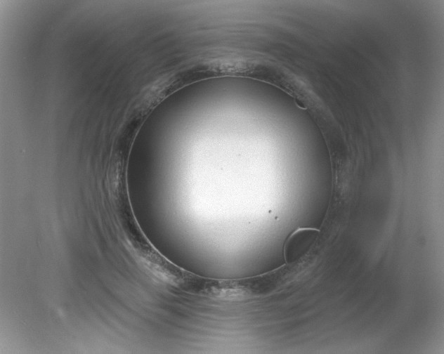 X0000081600645200701291402