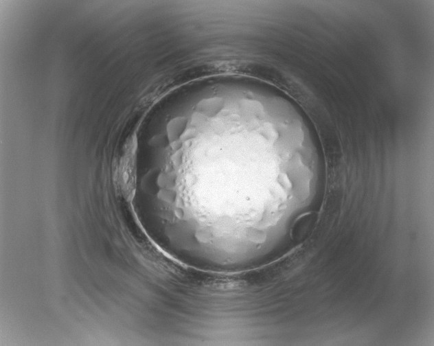 X0000081600646200701291402