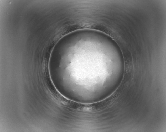 X0000081600647200701291402