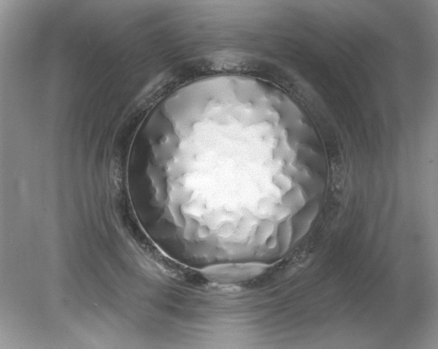 X0000081600648200701291402