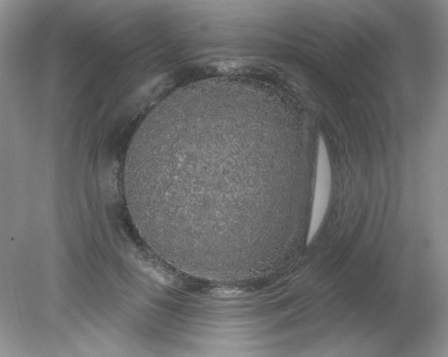 X0000081600650200701291402