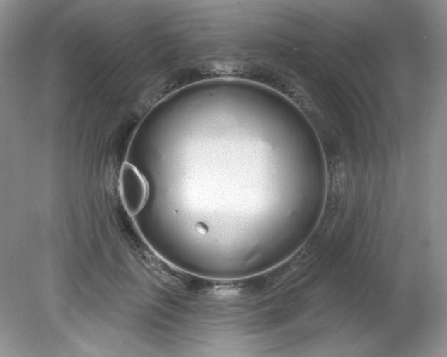 X0000081600651200701291402