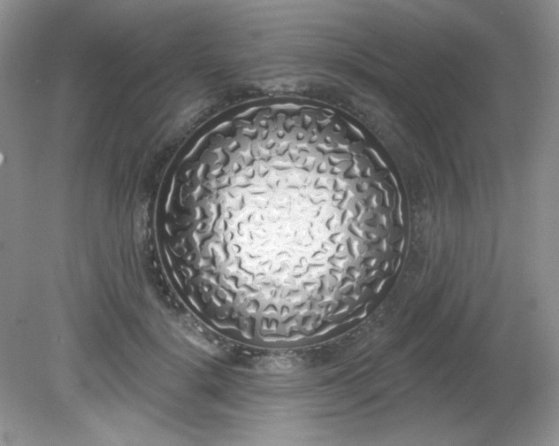 X0000081600652200701291402