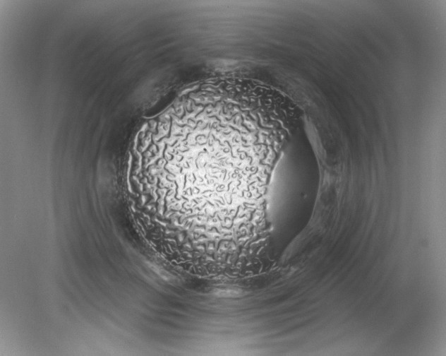 X0000081600653200701291402