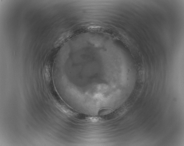 X0000081600654200701291402