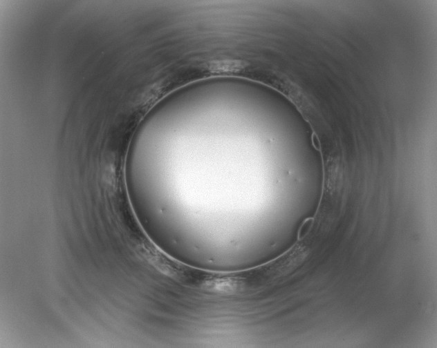 X0000081600655200701291402