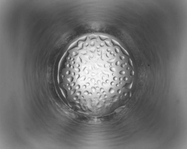 X0000081600656200701291402