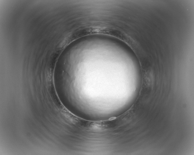 X0000081600657200701291402