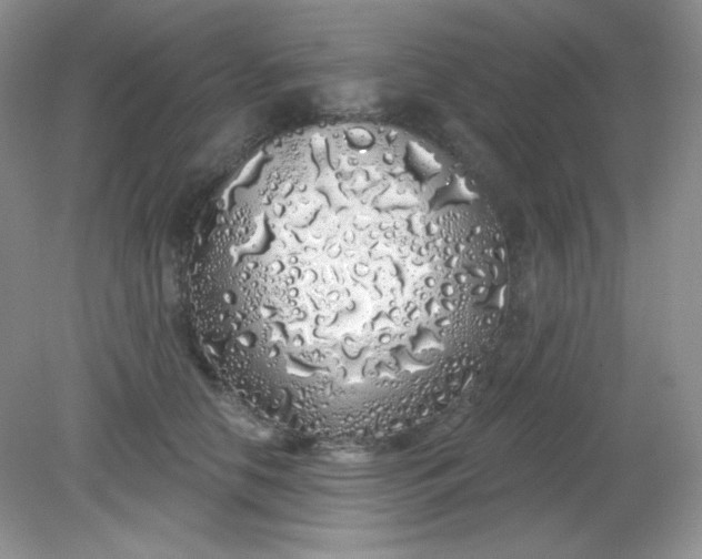 X0000081600658200701291402