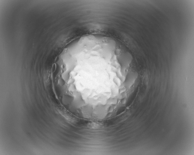 X0000081600660200701291402