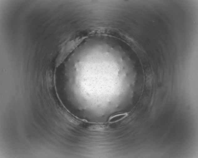 X0000081600661200701291402