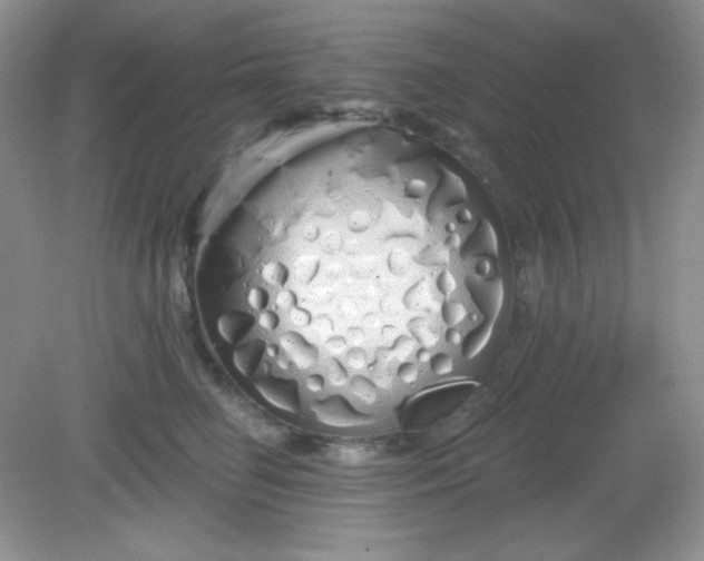 X0000081600662200701291403