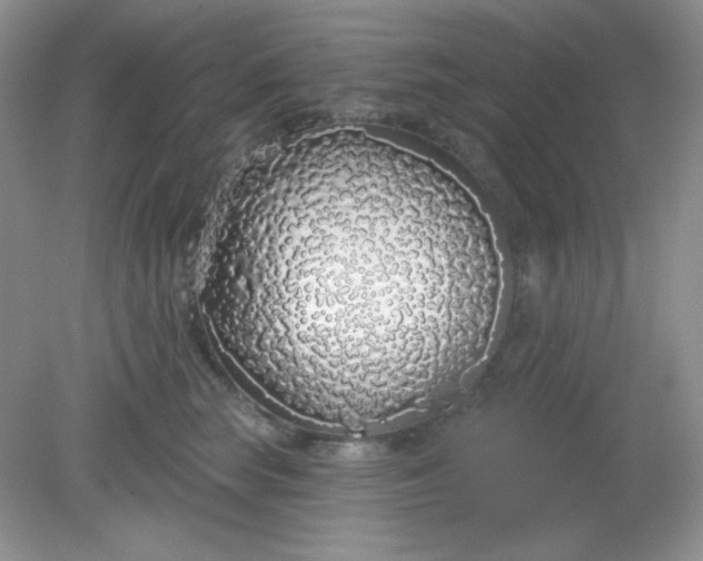 X0000081600663200701291403