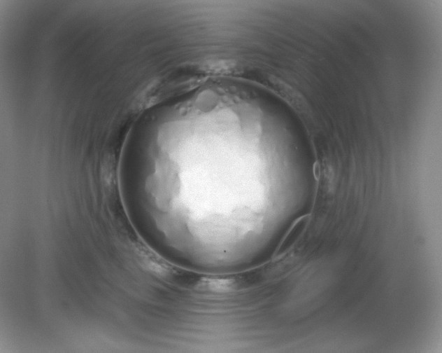 X0000081600665200701291403