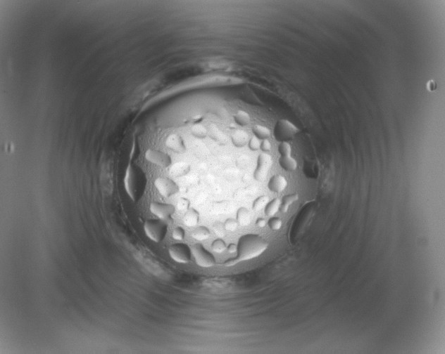 X0000081600666200701291403