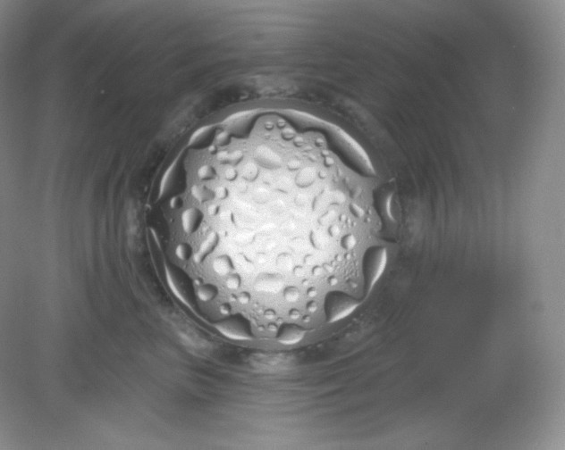 X0000081600667200701291403