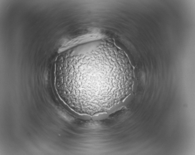 X0000081600668200701291403