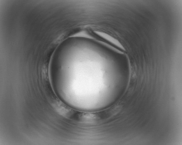 X0000081600669200701291403