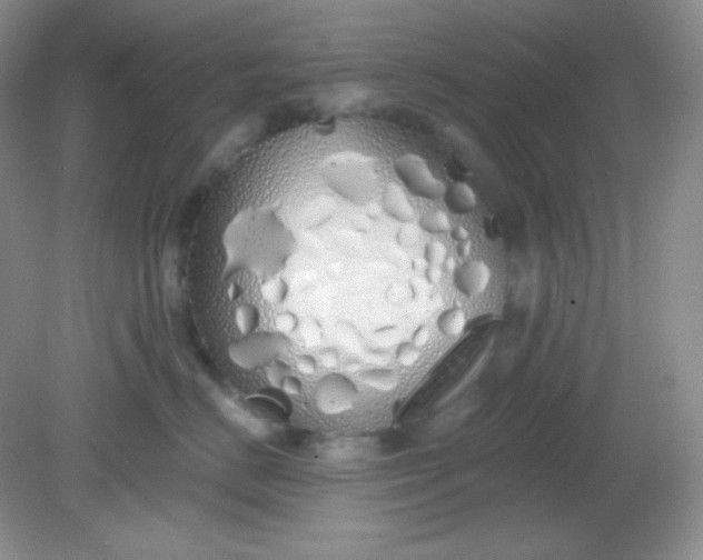 X0000081600670200701291403