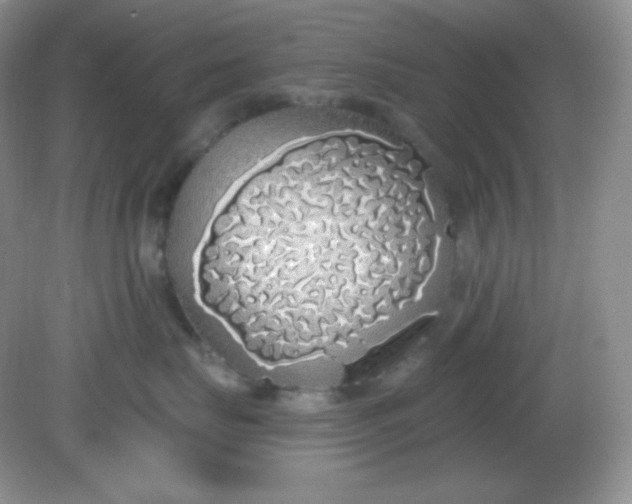 X0000081600671200701291403