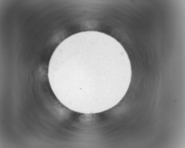 X0000081600672200701291403