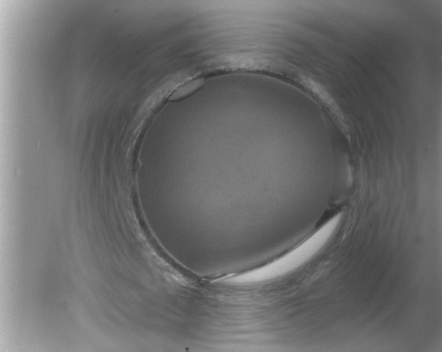 X0000081600673200701291402