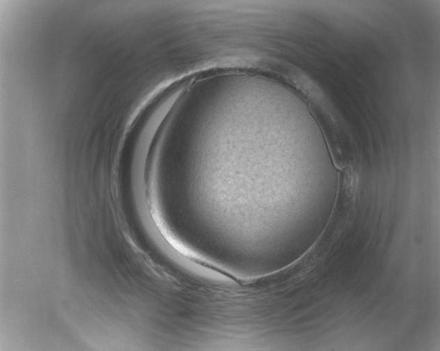 X0000081600676200701291402