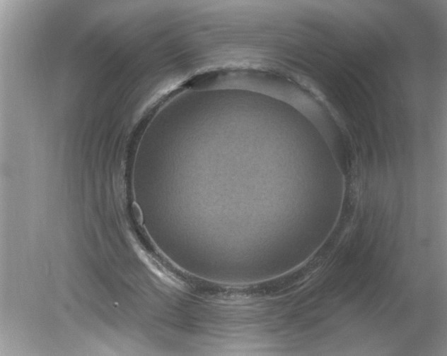 X0000081600677200701291402