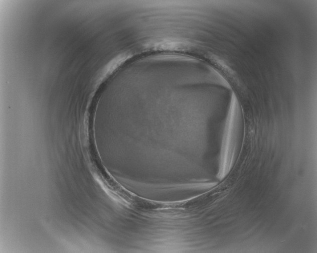 X0000081600678200701291402