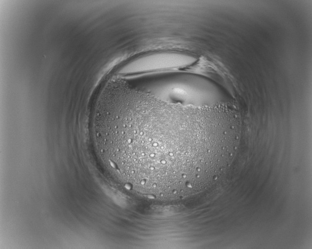 X0000081600679200701291402