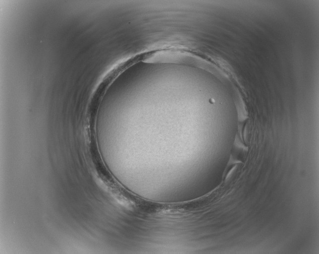 X0000081600680200701291402