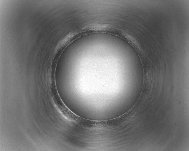 X0000081600682200701291402